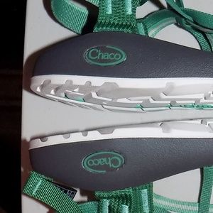 varsity pine chacos